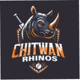 Team logo