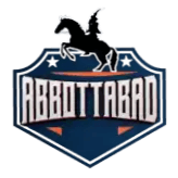 Team logo