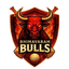 Bhimavaram Bulls Flag